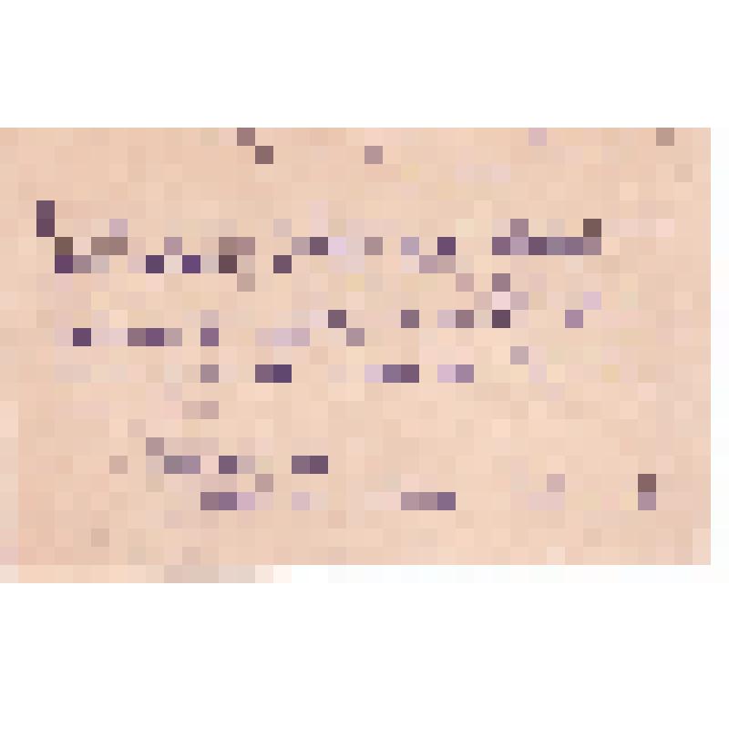 Материалы по вопросу о выдаче пропуска на выезд из Москвы в Кировоградскую обл. Хомяченко В.В