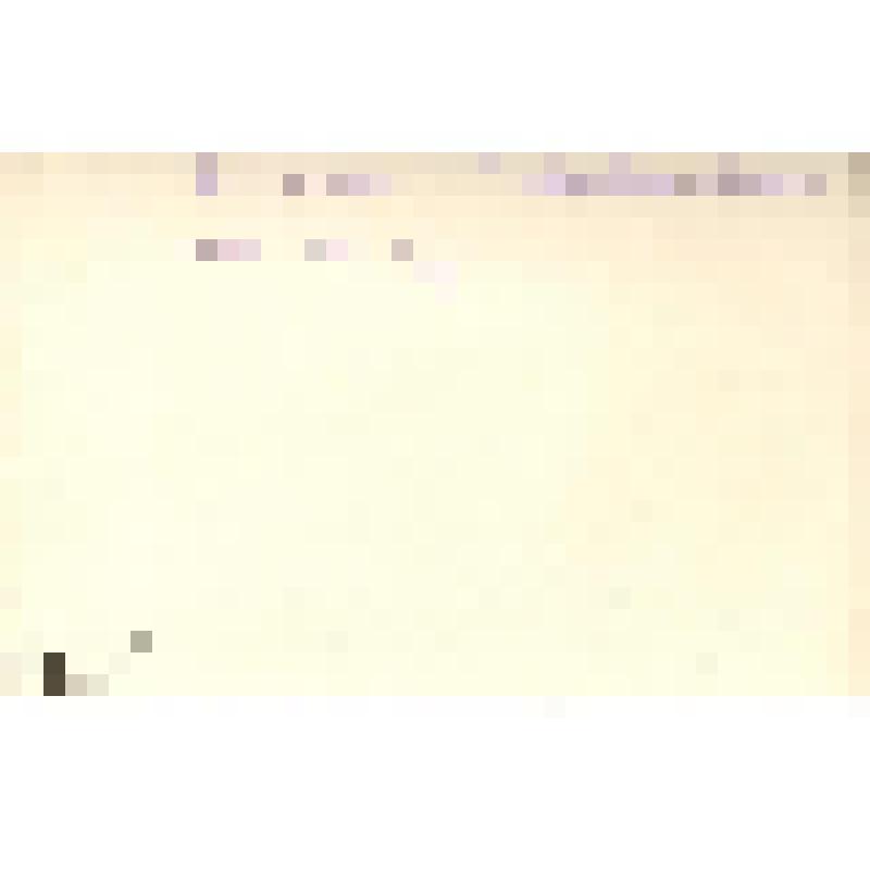 Фотодокумент. Фотография "Г.В.Громова с учениками"