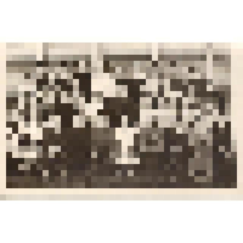 Фотодокумент. Фотография "Г.В.Громова с учениками"