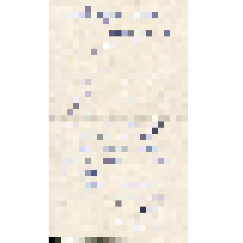 Письмо Р. ван Данцига (Rudi van Dantzig) к С.И.Сорокину