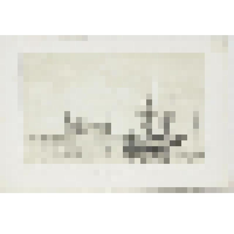 Литография. "Дания. Замок Кронненбург в Эльсиноре. Вид с борта парохода Таж."