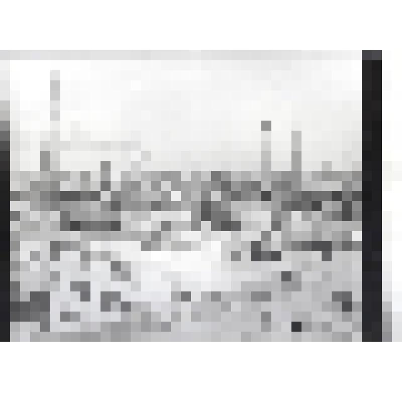 Фотография. Вид на I и II очереди АГПЗ