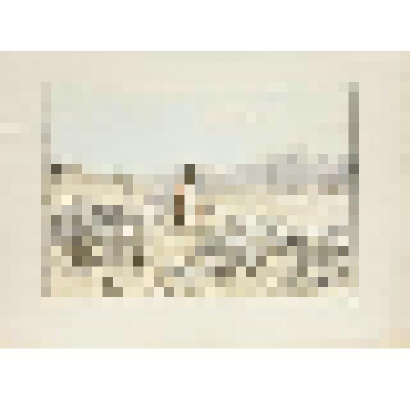 Чабан с отарой. Графическая работа