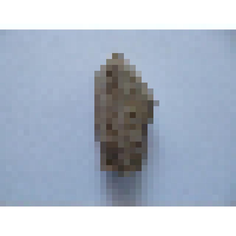 Нуклеус каменный