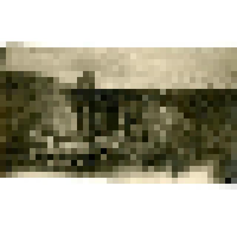 Фотография. Приготовление саней к зиме