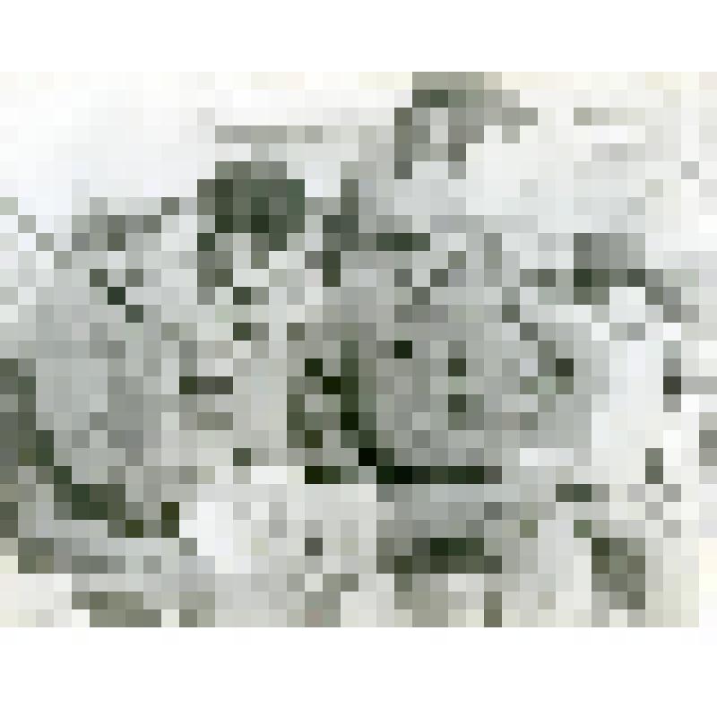 Фотография чёрно-белая. Минуты отдыха. Рабочие шпалоцеха КЛПХ