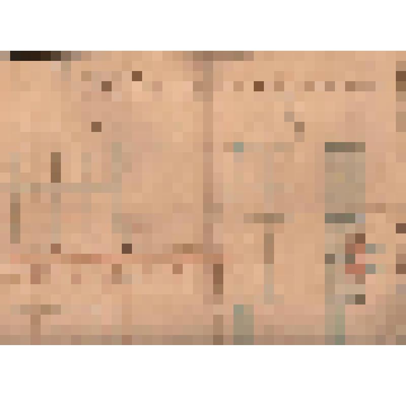 Чертеж катучего бигельмостика в верхней части Саратовского шлюза на месте паромной переправы тягловых лошадей