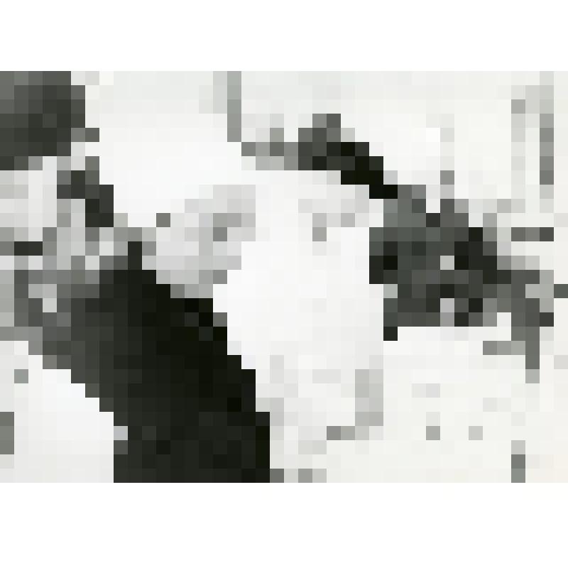 Фотография ч/б. Осламова Т.Е., победитель конкурса лаборантов-химиков