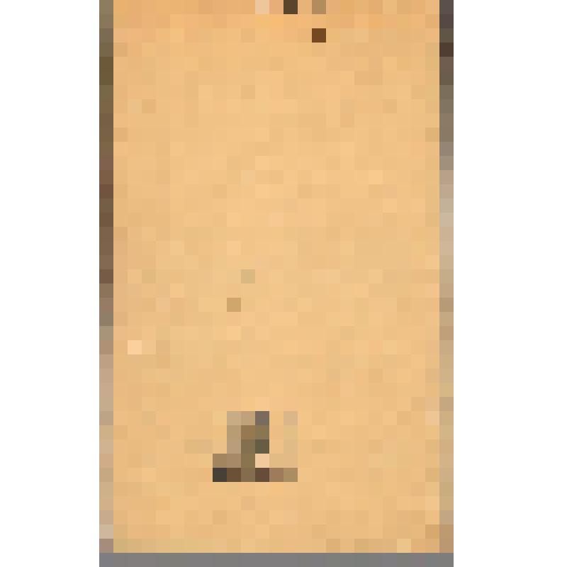 Журнал. Вопросы истории