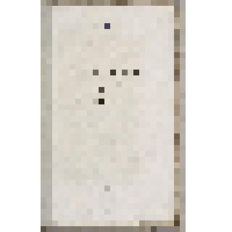 Книга. Zeitgenossen. IX