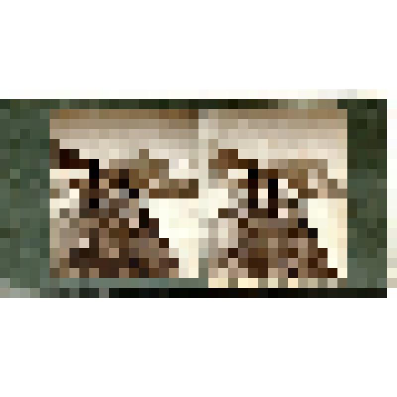 Карточка для стереоскопа «Вид на главный Кавказский хребет с водораздела рек Доута и Учкулана (10,5 т. ф. н. у. м.)». Из коллекции «Кавказ» с видами природы Западного Кавказа, серии 1-№28. Автор фото Н.Л. Минервин