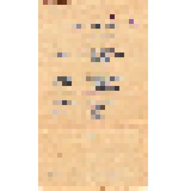 Афиша программа. Программа праздичного концерта, посвященного 51-й годовщине Советской Армии и военно-Морского флота 22 февраля 1969 года. г. Луга. (Да здравствуют славные Вооруженные силы СССР!)