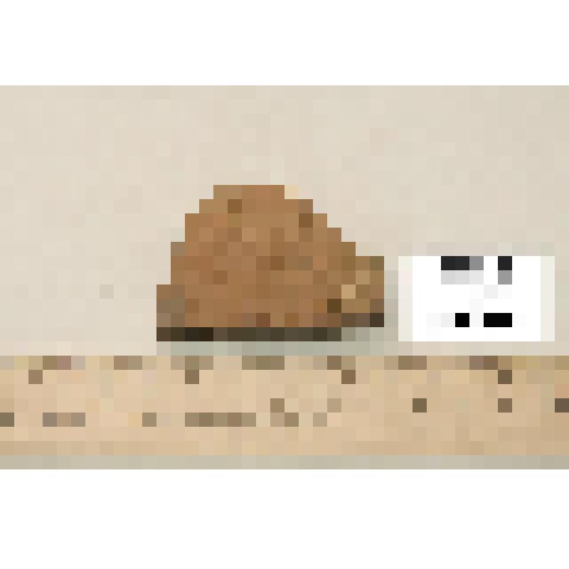 Фрагмент стенки сосуда