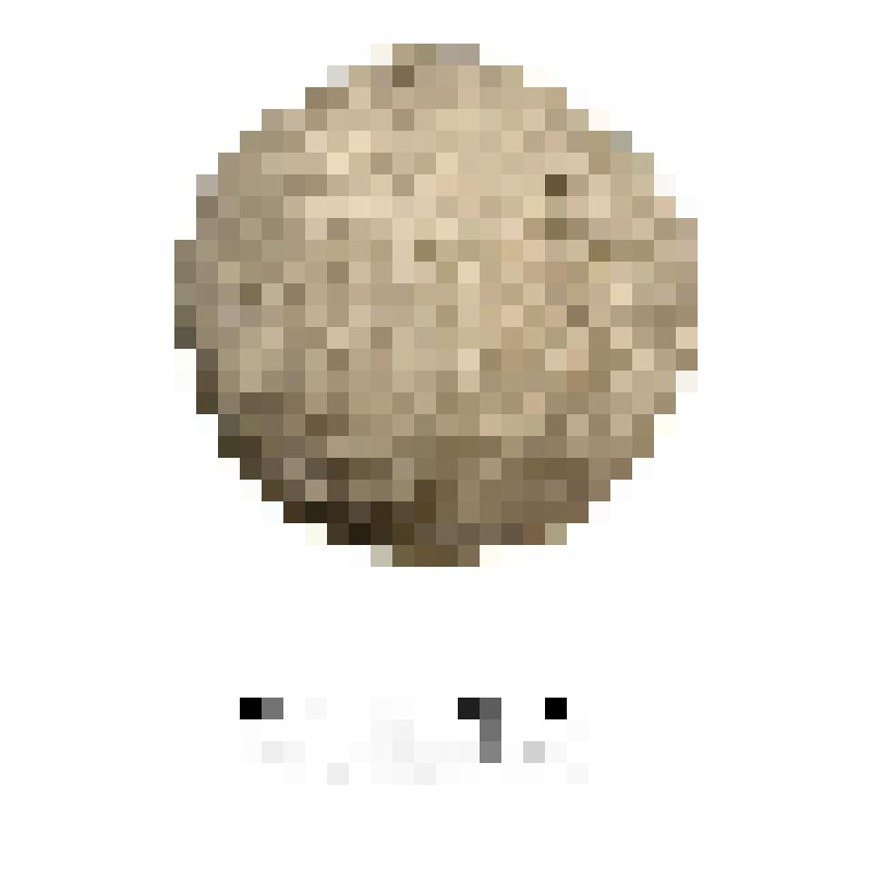 Ядро. Ядро каменное пушечное