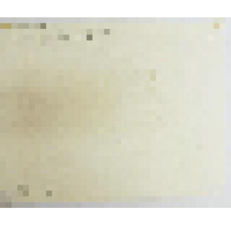 Митурич на даче (с Валдаем и Букой). 1970