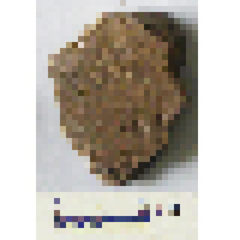 Фрагмент тулова сосуда