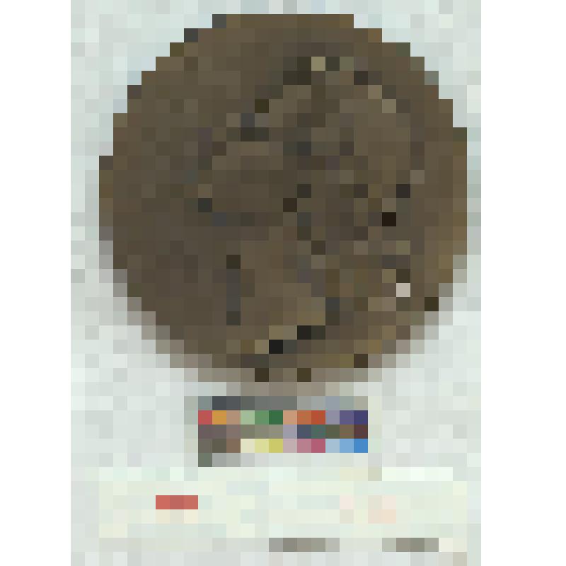 СССР. Медаль. Майя Плисецкая - народная артистка СССР. 1964 г