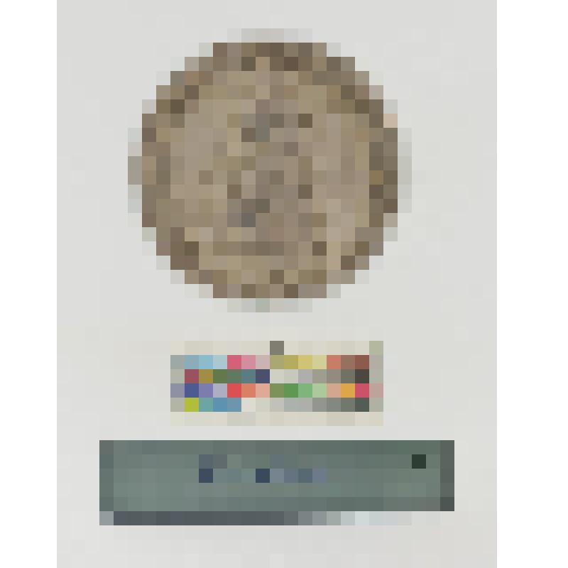 Россия. Медаль. Коронационная Павла I