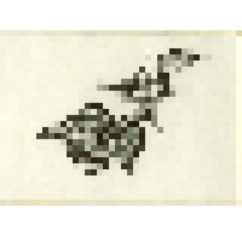 Ки-ик! Ки-ик! Черный лебедь. Концовка