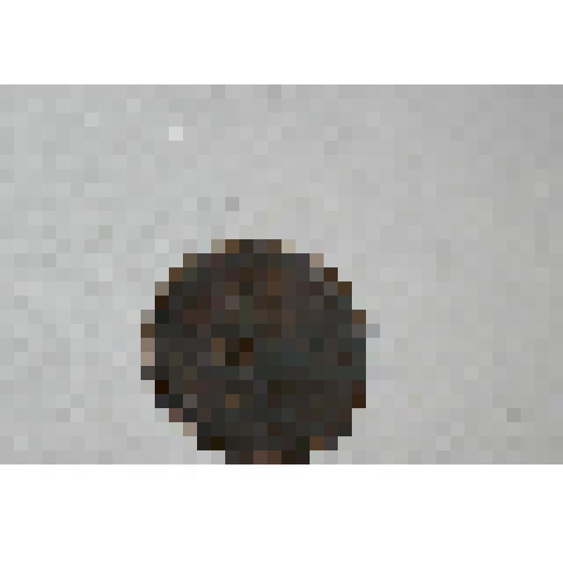 Монета. Денежка