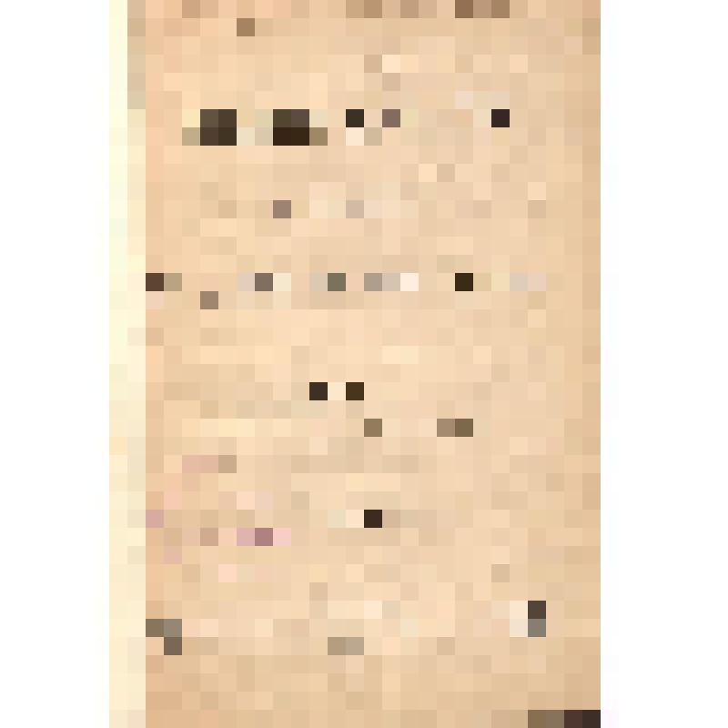 Книга. Детство и отрочество художника В. В. Верещагина : Т.1