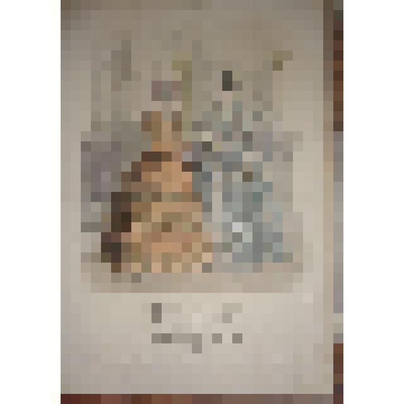 Литография. Лист из журнала "Вестник моды". Женщины в коричневом и голубом платьях