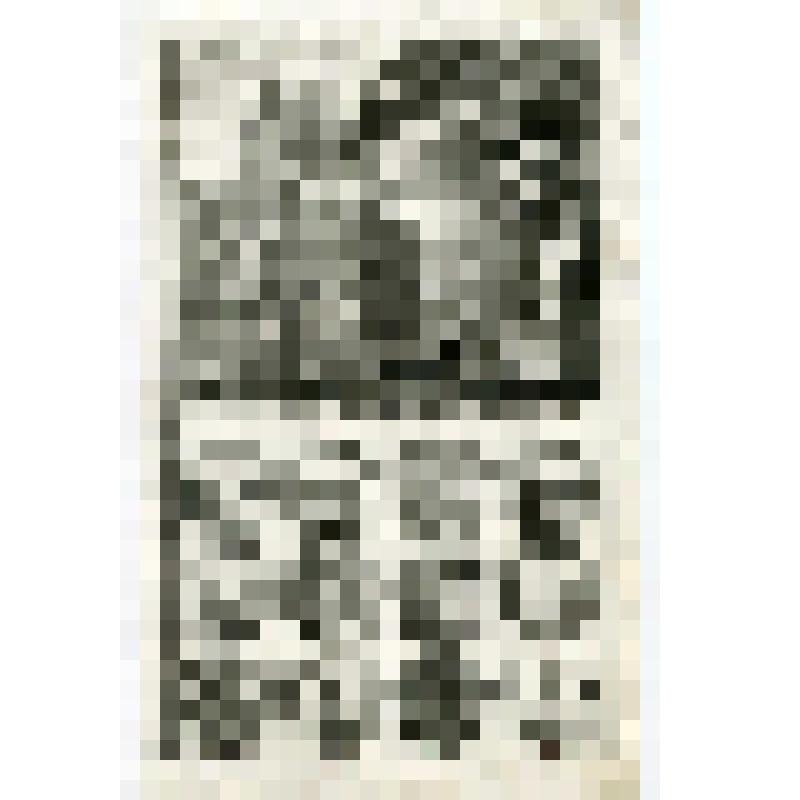 Офорт. Лист 135. Иллюстрации к Книге Товии