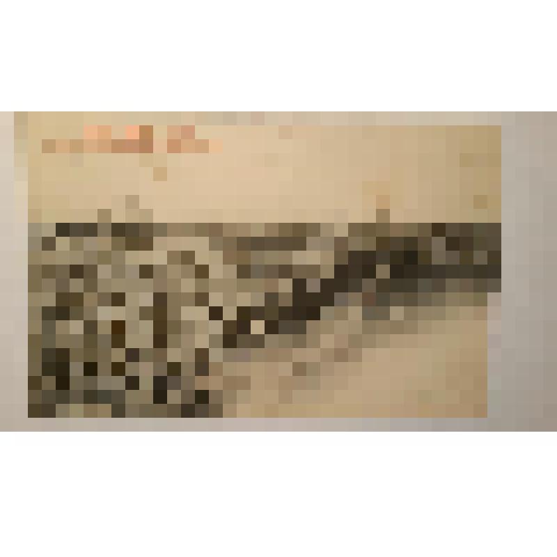 Украина, г. Одесса. Преображенская улица. Перспектива. Фототипия Шерер, Набгольц и Ко, Москва