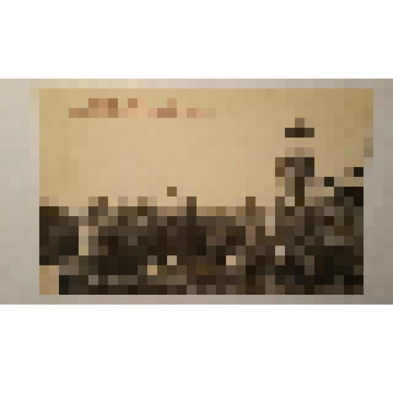 Памятник Э.С. Андриевскому, основателю санатория "Куяльник". Лиманная ул. 1898. Украина, г. Одесса. Памятник Э.С. Андриевскому, основателю санатория "Куяльник". Толвинский Николай Константинович; Эдвардс Борис Васильевич. Общий вид. Фототипия Шерер, Набго