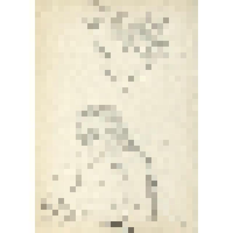 Лист № 30. Из папки "Рисунки разных лет с 1951."