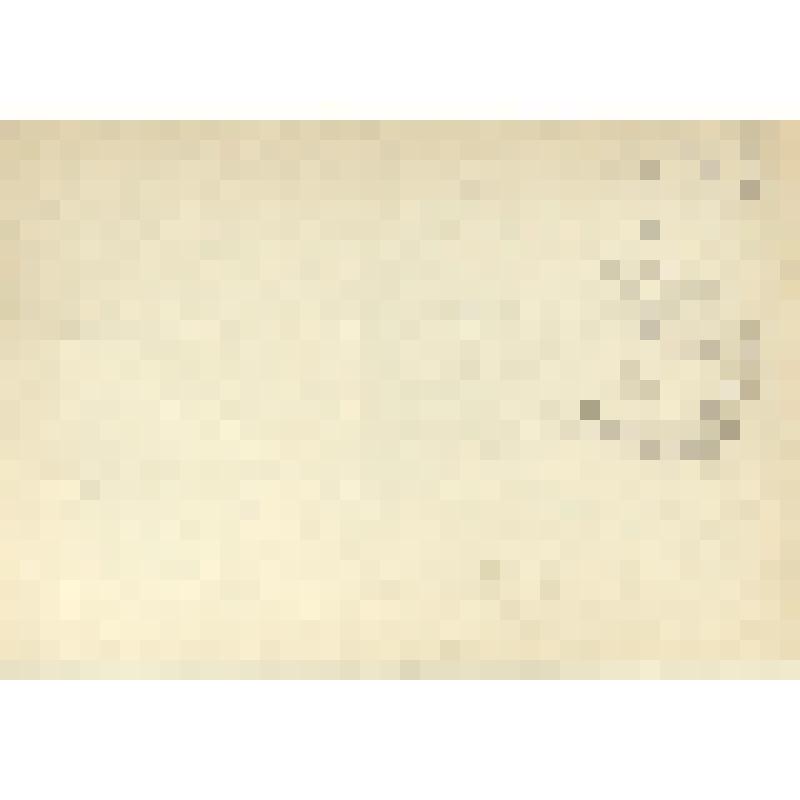 Лист № 30. Из папки "Рисунки разных лет с 1951."