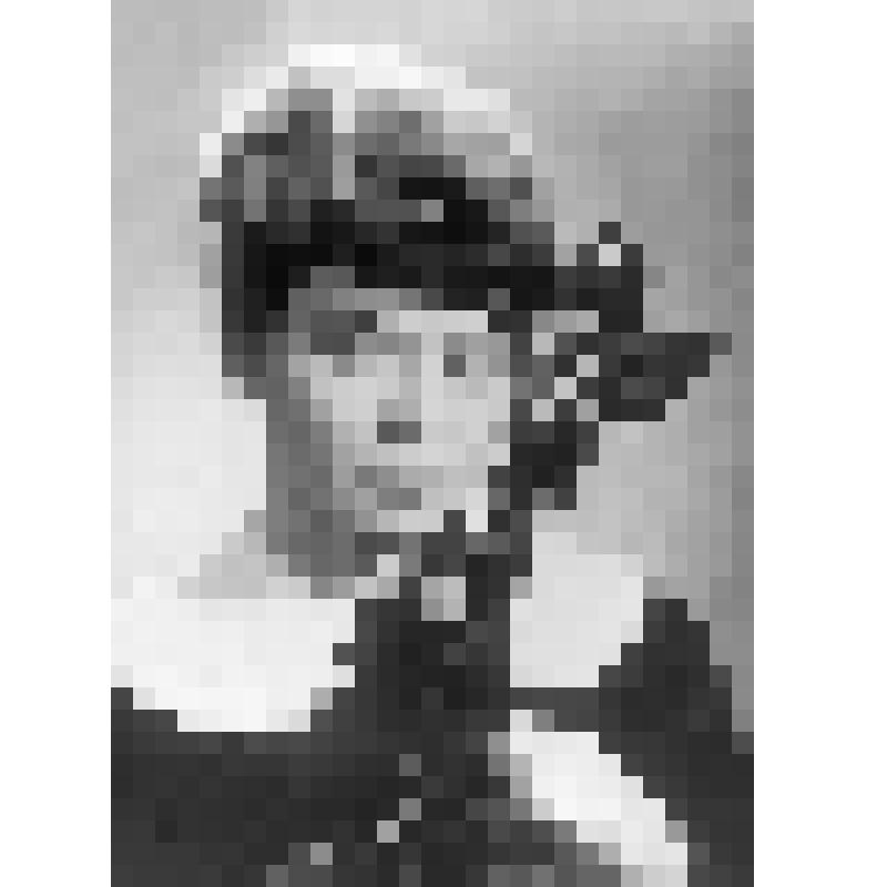 Негатив. Шудловская М. - польская виолончелистка