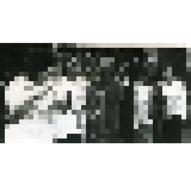 Фотография. Студентки Глазовского пединститута