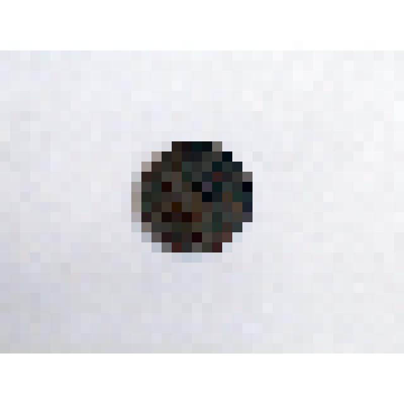 20 копеек 1946 года