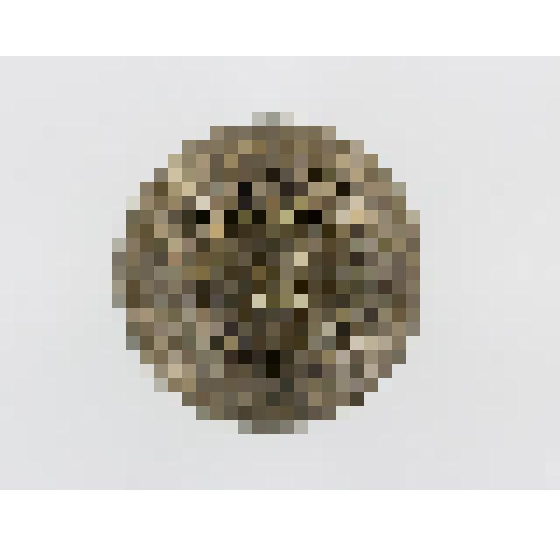 Вазочка с округлым туловом, плавно переходящая в цилиндрический поддон, слегка расширяющийся в нижней части. Украшена прорезным орнаментом растительного характера и стилизованным изображением людей. Полусферическая крышка,оканчивающаяся грибком также укра