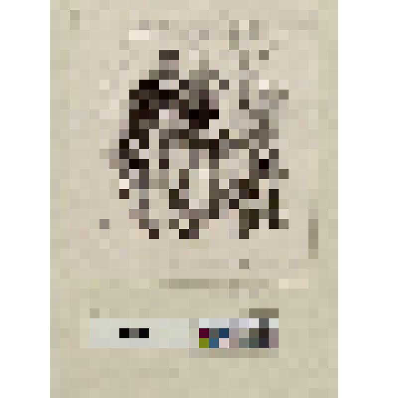 Походный парикмахер