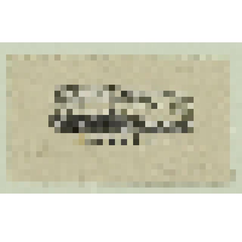 "Курган", гравюра