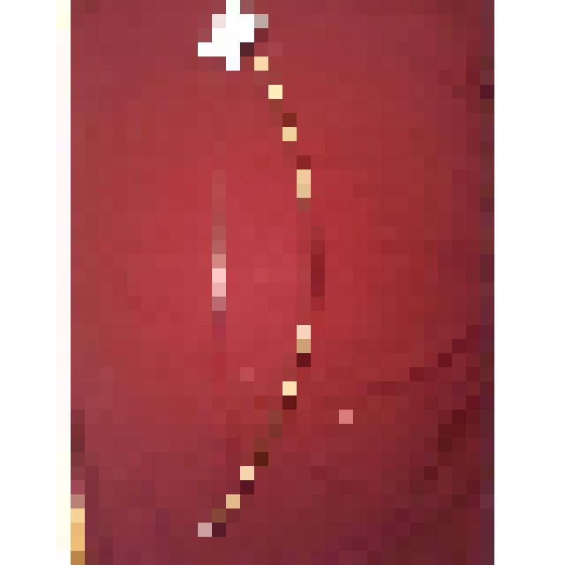 Лук для чистки шерсти