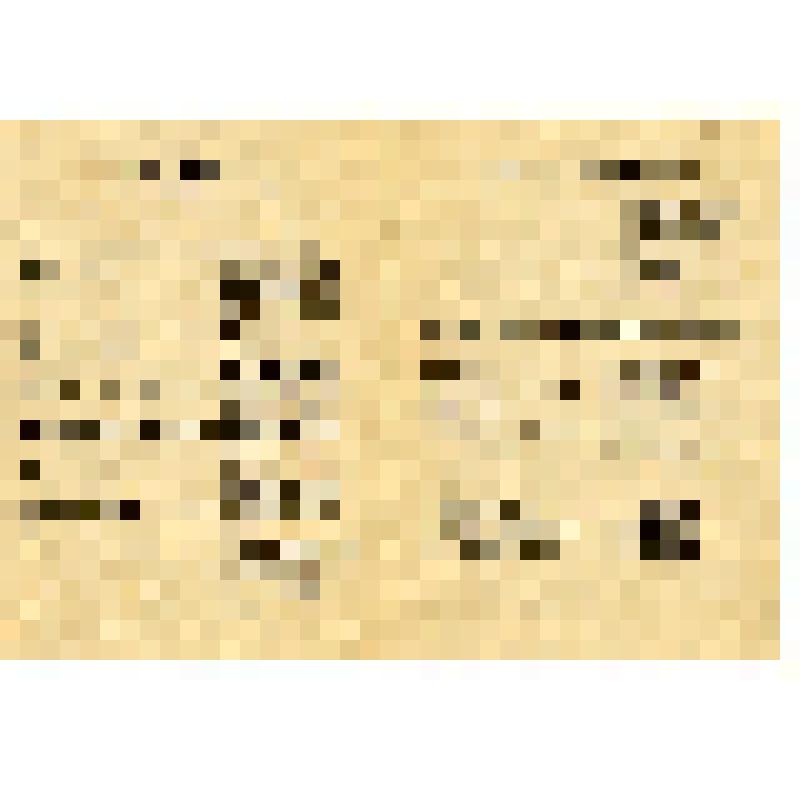 Программа оперного спектакля «Травиата» Куйбышевского театра оперы и балета. Музыка Д. Верди