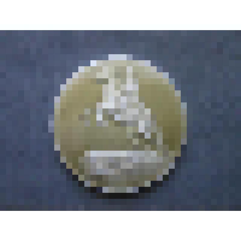 Медаль. Медный всадник