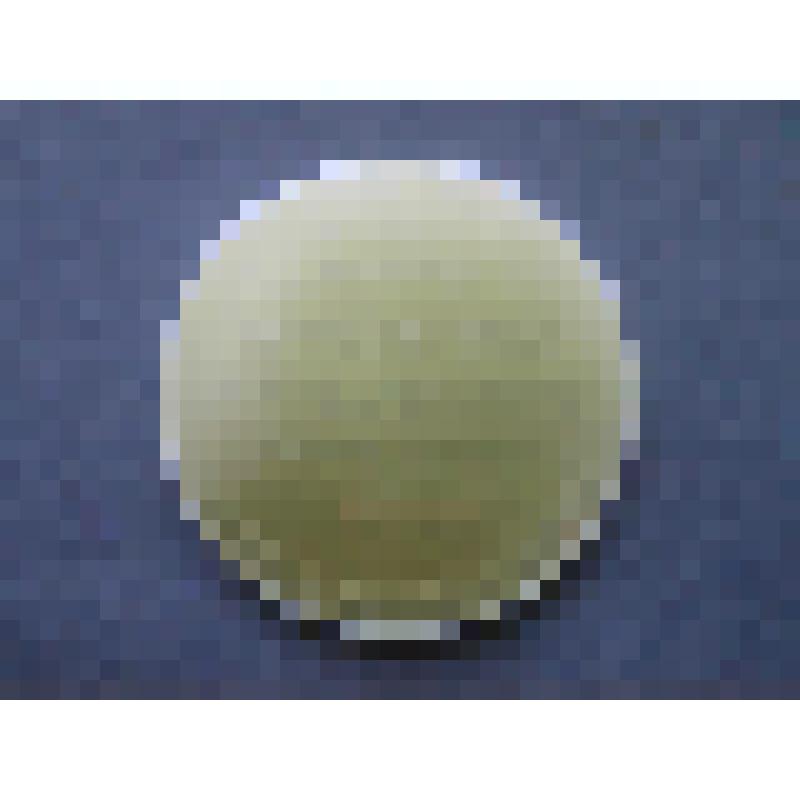 Медаль. Медный всадник