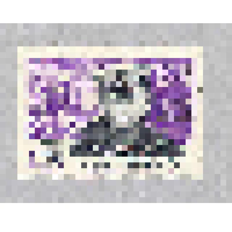 Марка почтовая. "Герой Советского Союза матрос И.М. Сивко."