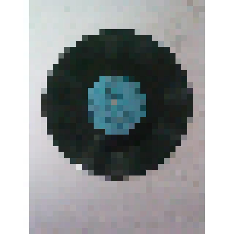 Пластинка для патефона:  "Волжанка", "Ягодиночка",  "Я сейчас такой влюбленный", Кулундинские степи.", "Расцветай Сибирь", "Говорят - говорят"