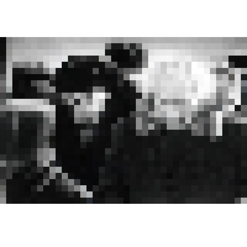 Фотография черно-белая. Минута молчания