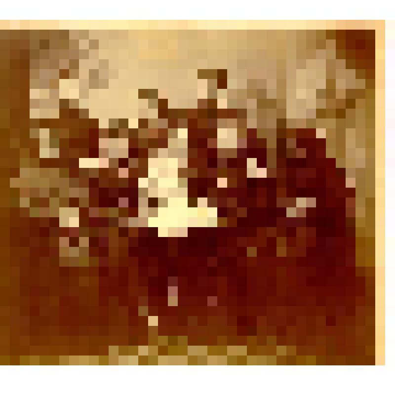 Фотография. Семья Михайловых