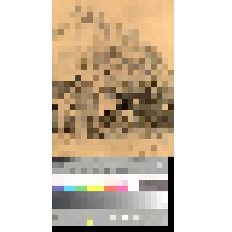 Фотофаксимиле