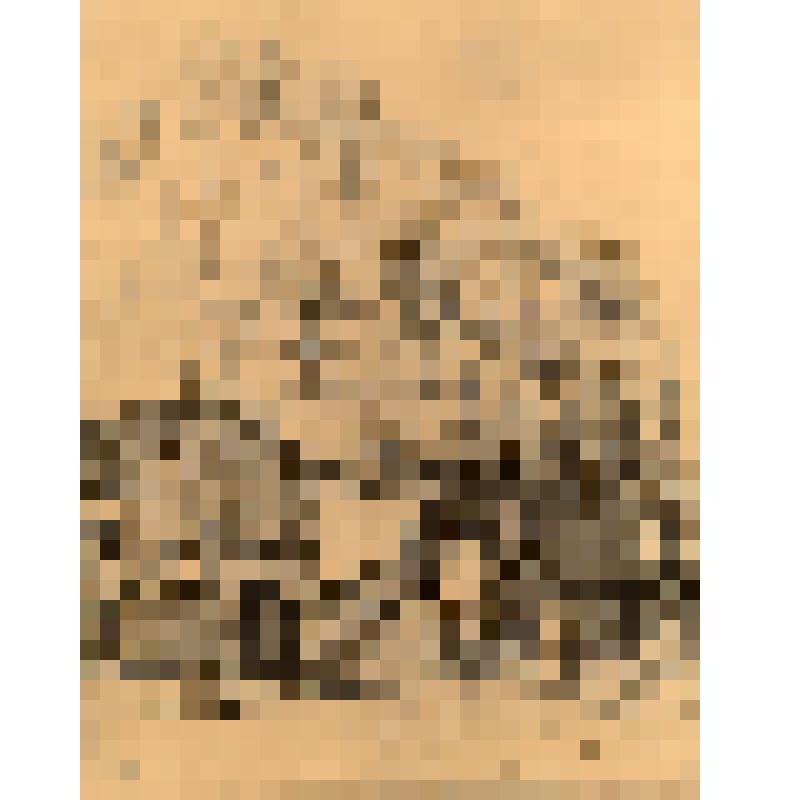 Фотофаксимиле