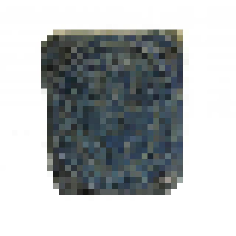 Штемпель Санкт-Петербургской городской почты