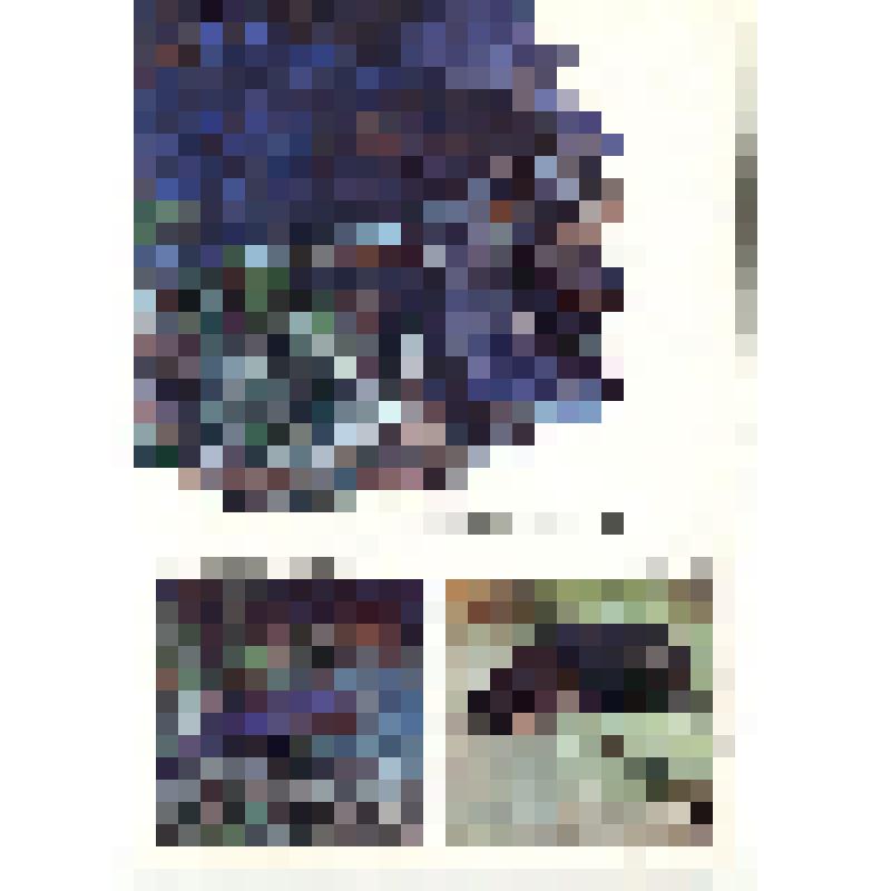 Открытка художественная. Аргентинская гидромедуза. Большеголовая черепаха. Мата мата / Набор открыток «Амфибии. Рептилии». - Москва: Издательство «Планета»