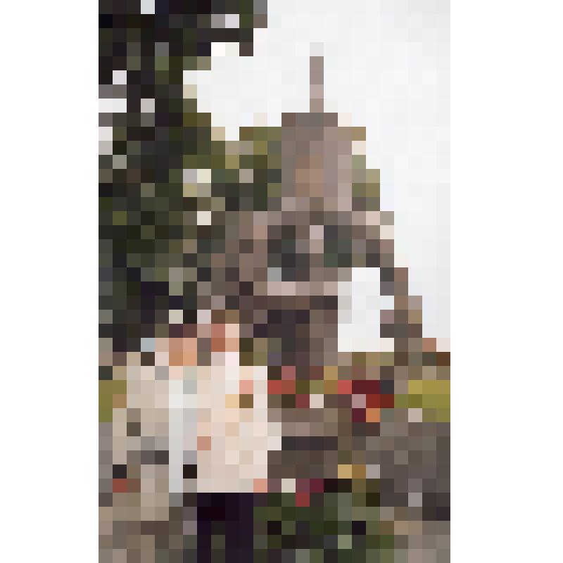 Фотография. Геманов В.С. и Геманова Л.А. у памятника А.И. Маринеско
